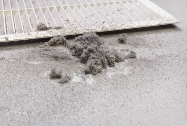 Best Air Duct Cleaning Near Me  in Jackson, MO
