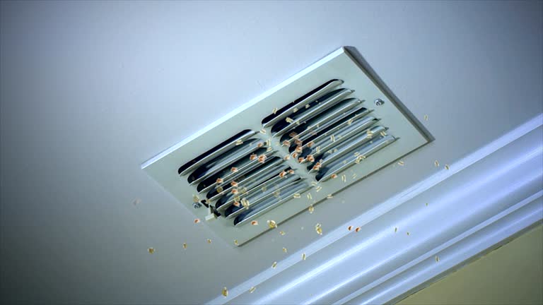Best Professional Duct Cleaning Services  in Jackson, MO