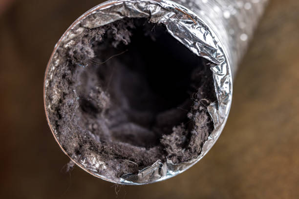 Best Air Duct Sanitizing Services  in Jackson, MO