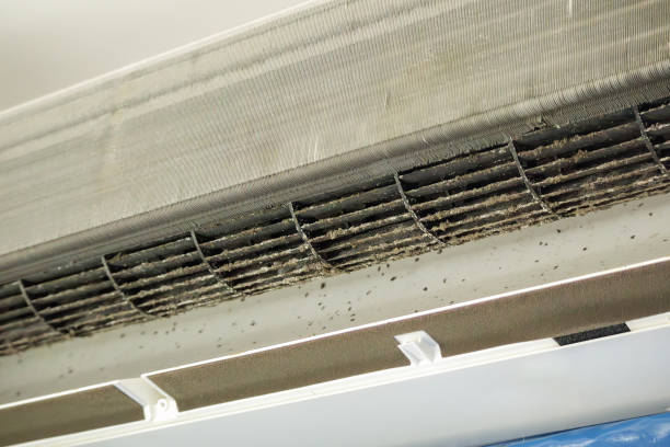 Best Commercial Air Duct Cleaning  in Jackson, MO