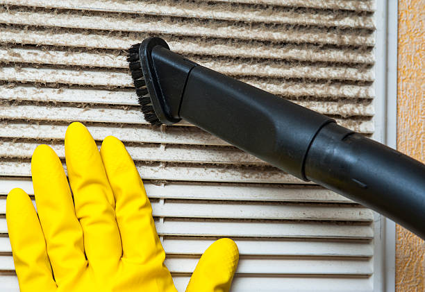 Best Air Duct Mold Removal  in Jackson, MO
